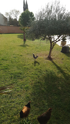 Paysage Location d'appartement de vacances Casa la Piboulette 84200 Carpentras