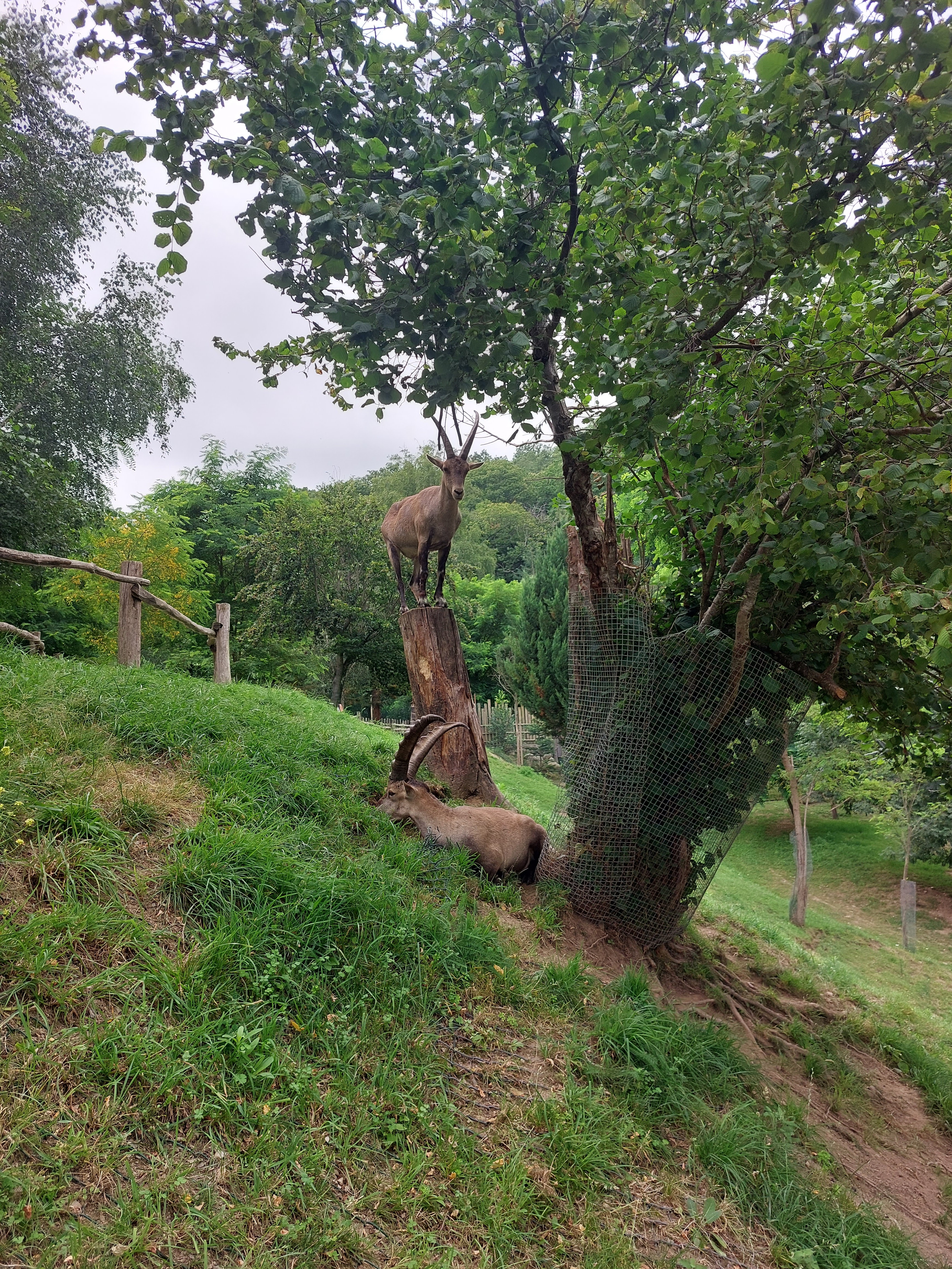 Photo n° 2 de l'avis de Camille.h fait le 17/07/2023 à 21:55