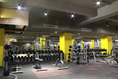 Avis Fitness Studio - Near Zunzunwala School, Gandhibagh, Nagpur, Maharashtra 440002, India