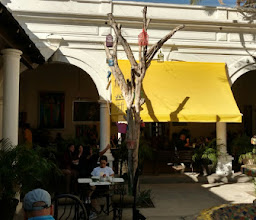 El Portón del Sabor photo