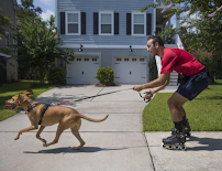 Skate Dogtor - Photo 5 - Car repair in , North Charleston