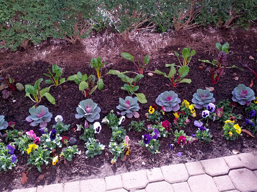 Museum «Kentucky Derby Museum», reviews and photos, 704 Central Ave, Louisville, KY 40208, USA