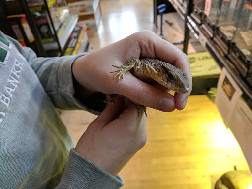 Pet Store «Critter Cabana», reviews and photos, 516 E 1st St, Newberg, OR 97132, USA