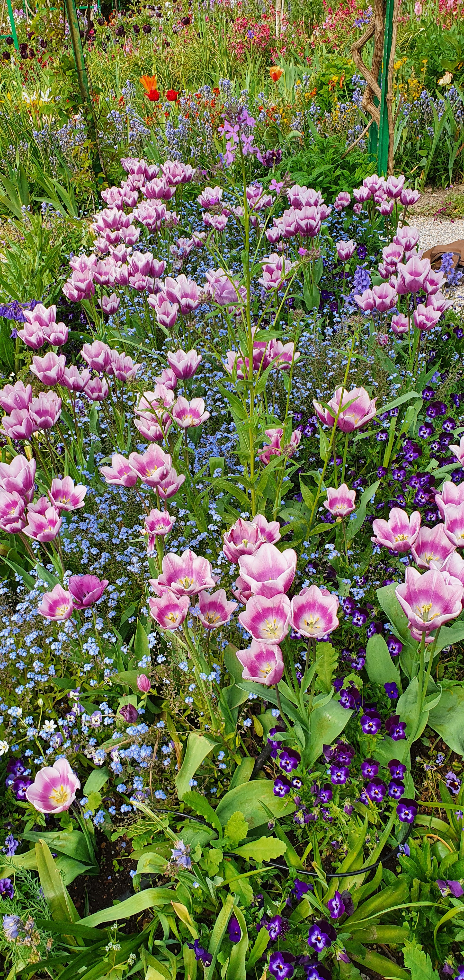 Photo n° 10 de l'avis de CS.. fait le 03/06/2022 à 19:41