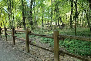 Cedar Grove Picnic Area and Meadow image