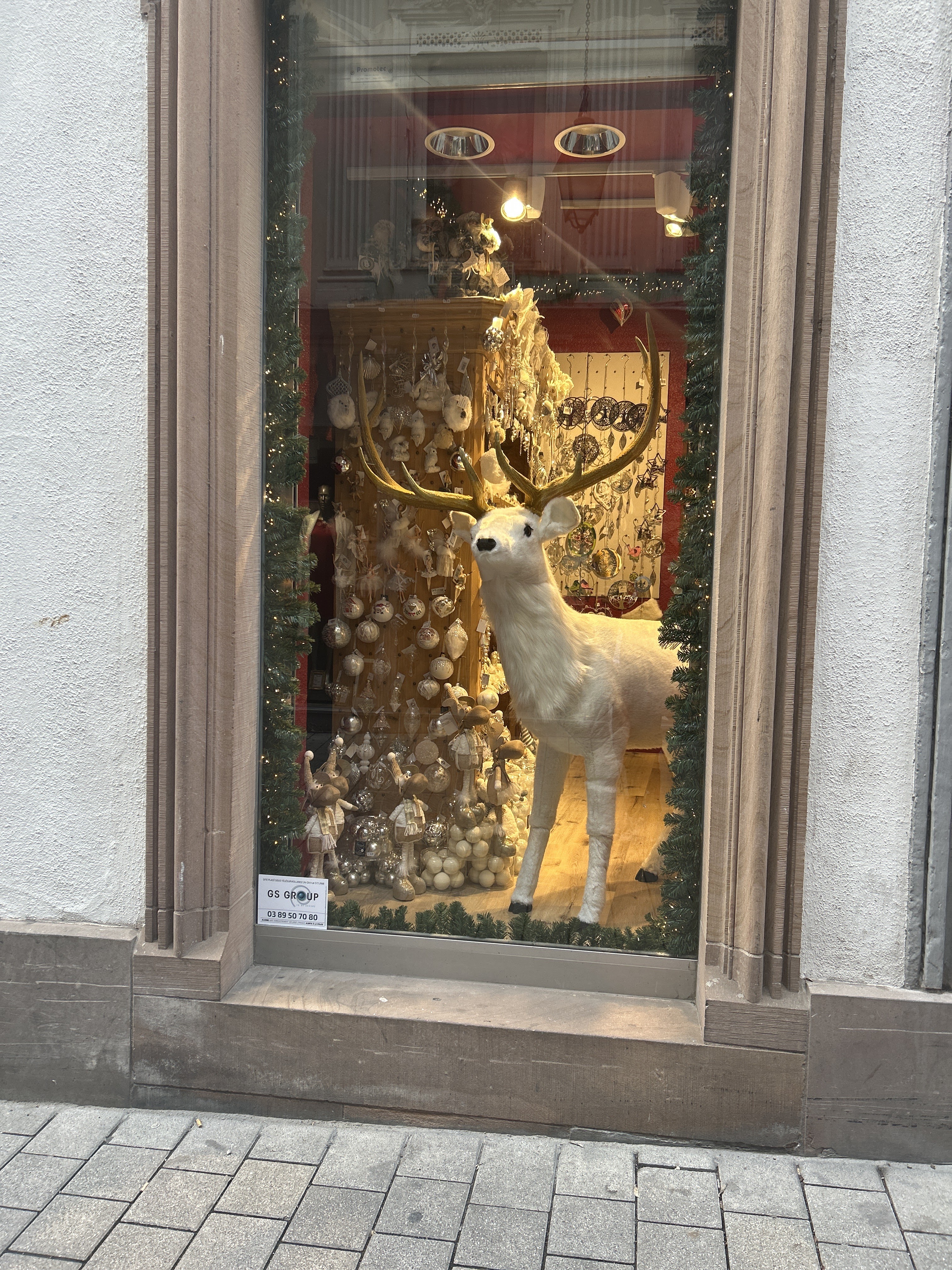 Photo n° 15 de l'avis de Anthony.E fait le 01/11/2023 à 13:32