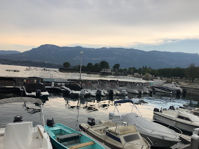 Pivetta William à Le Bourget-du-Lac