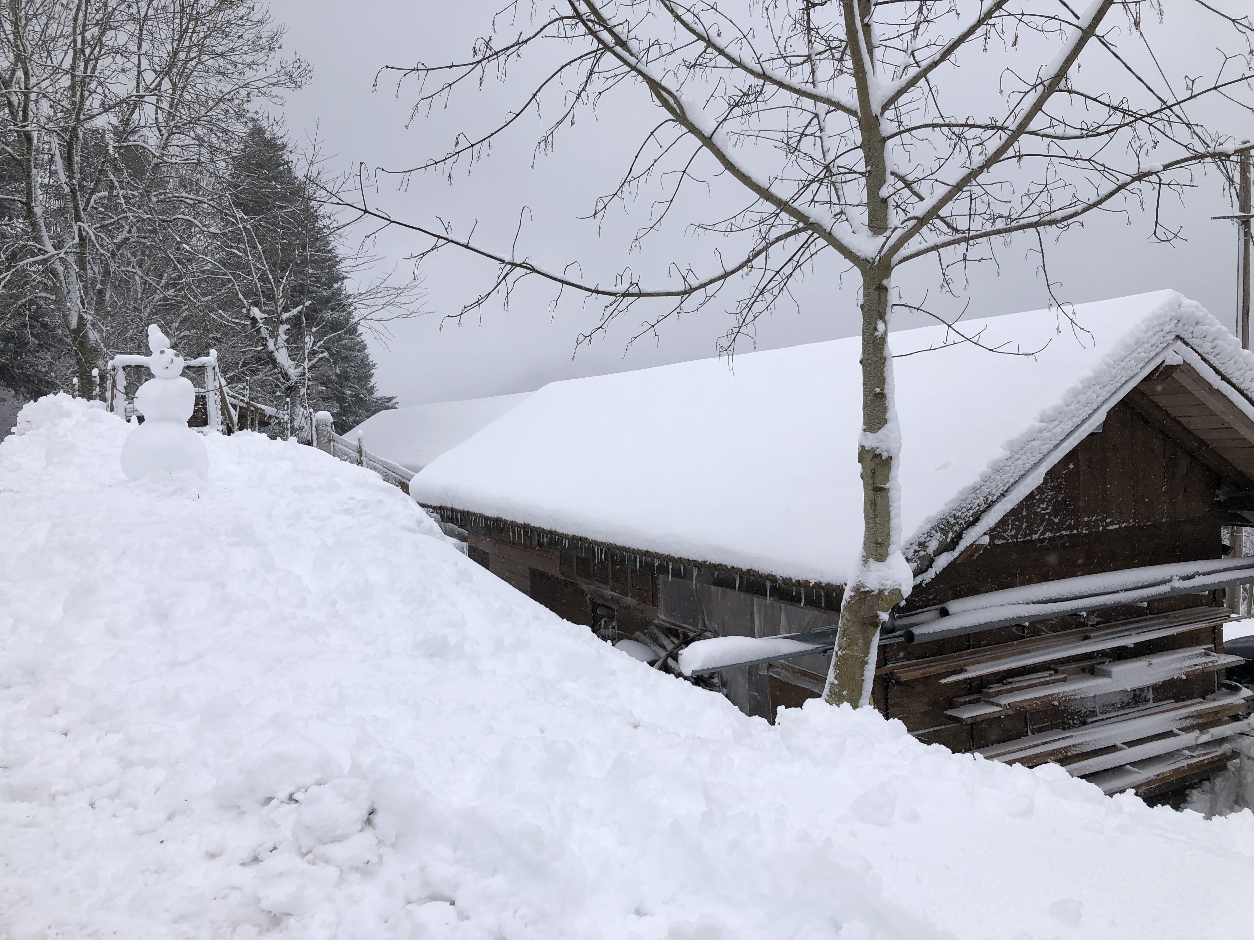 Photo n° 2 de l'avis de Karim.h fait le 29/12/2020 à 21:33