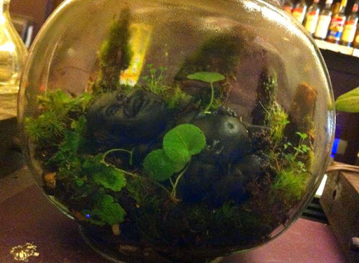 Coffee Shop «Burial Grounds», reviews and photos, 211 5th Ave SE, Olympia, WA 98501, USA