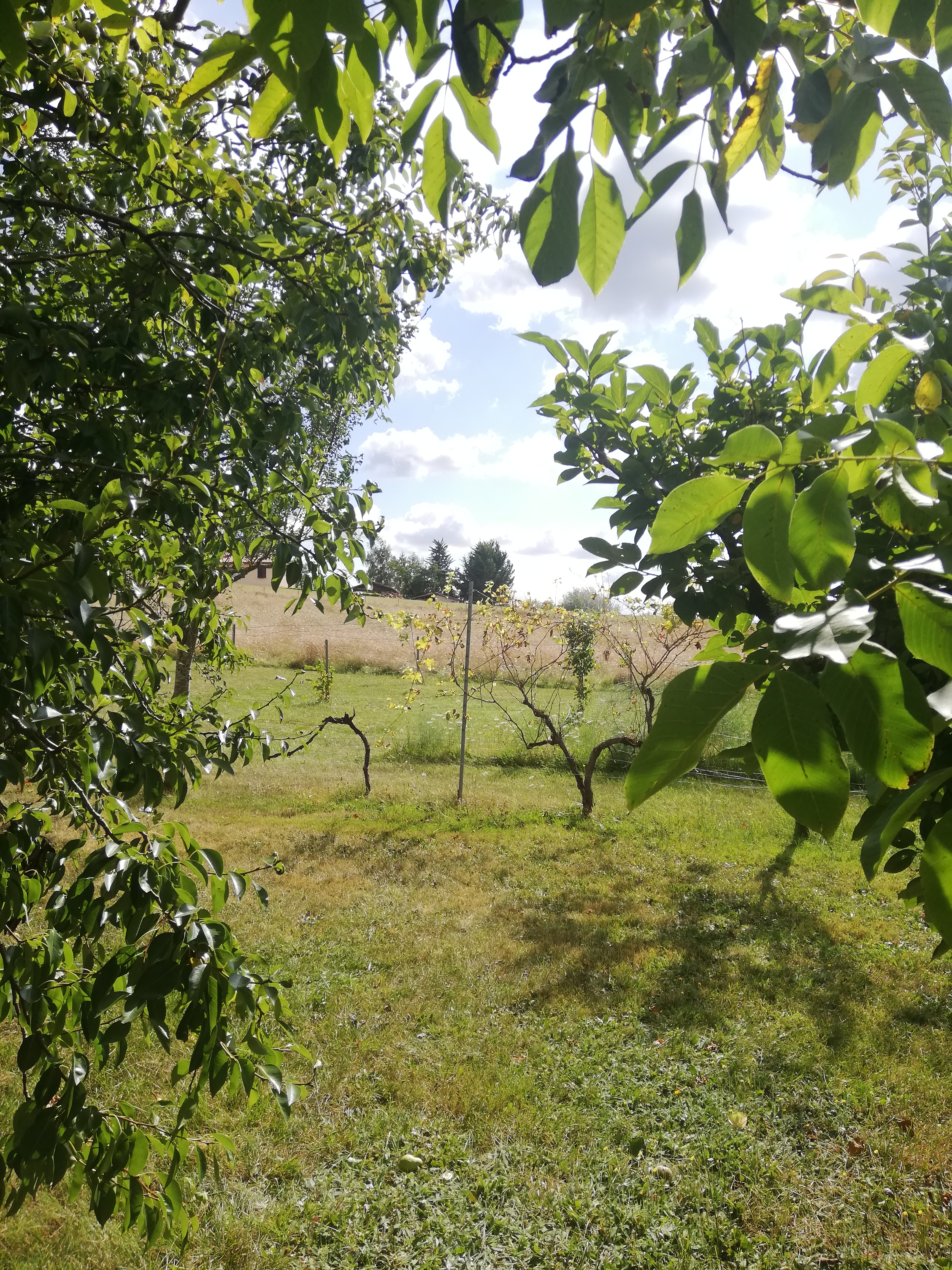 Photo n° 1 de l'avis de Anaïs.A fait le 05/08/2023 à 13:59