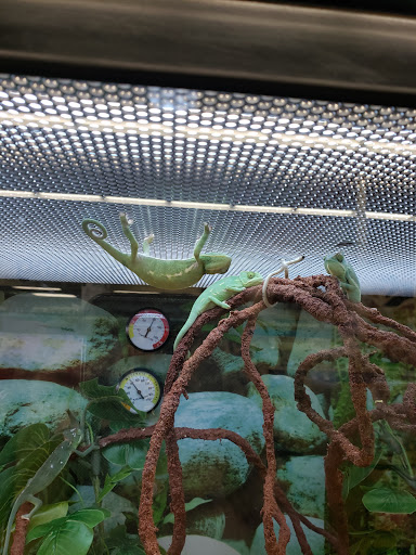 Pet Supply Store «Petco Animal Supplies», reviews and photos, 353 Harrison Bridge Rd, Simpsonville, SC 29680, USA