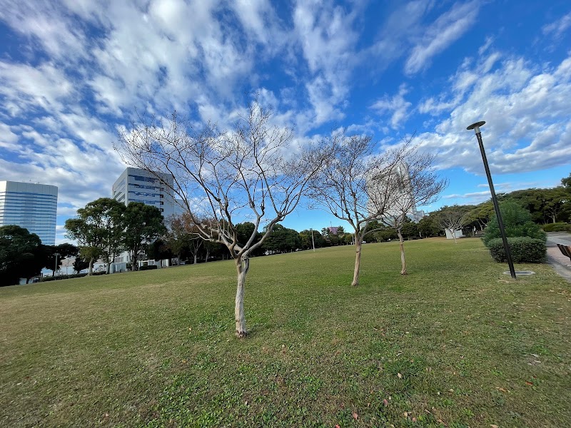 千葉県立幕張海浜公園Aブロック