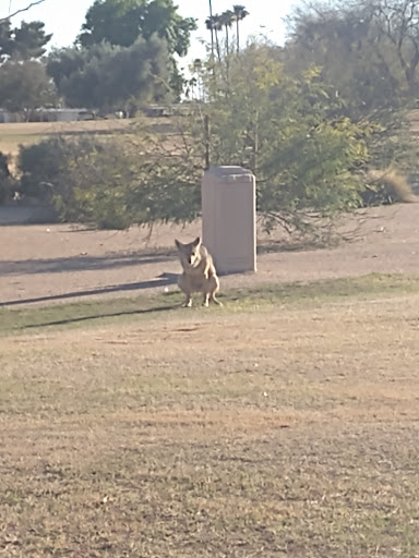 Golf Course «Willow Creek Golf Course», reviews and photos, 10600 N Boswell Blvd, Sun City, AZ 85351, USA