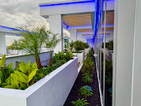 Abundant Lawn - Photo 6 - Car repair in St. Petersburg, FL, Bonita Springs