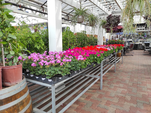 Hardware Store «La Grange Pk Ace Hardware Inc», reviews and photos, 900 E 31st St, La Grange Park, IL 60526, USA