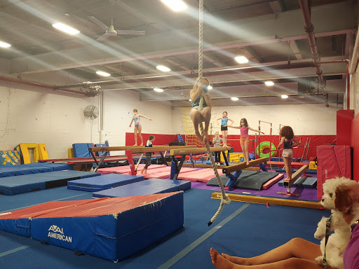 Gymnastics Center «Tumble Kids USA», reviews and photos, 201 Arlington St, Watertown, MA 02472, USA