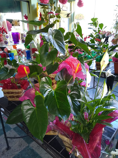 Florist «Tony Rossi Sons Florists», reviews and photos, 1508 Fruitvale Ave, Oakland, CA 94601, USA