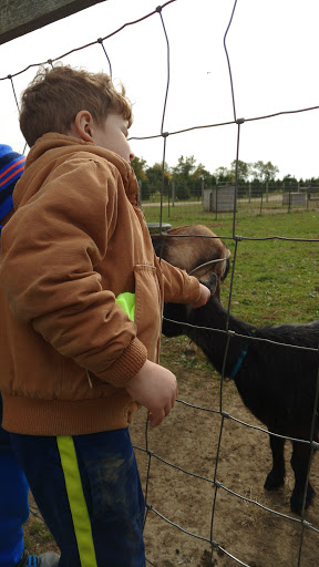 Christmas Tree Farm «Piney Acres», reviews and photos, 1115 E 1000 N, Fortville, IN 46040, USA