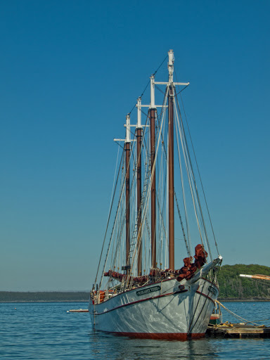 Whale Watching Tour Agency «Bar Harbor Whale Watch Co», reviews and photos, 1 West St, Bar Harbor, ME 04609, USA