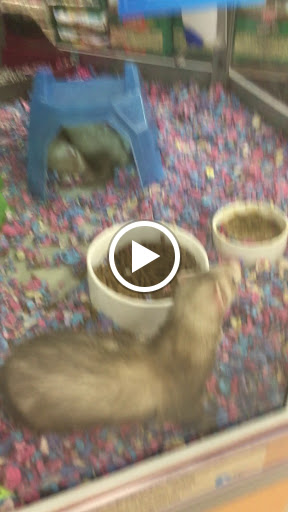 Pet Supply Store «Petco Animal Supplies», reviews and photos, 1419 Towne Square Blvd NW, Roanoke, VA 24019, USA