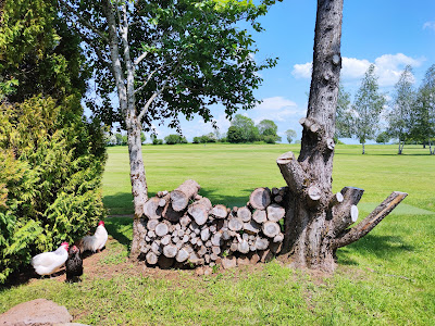 Golf du Battut à Paulhenc
