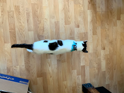 Pet Supply Store «Animal Kingdom of Santa Monica», reviews and photos, 300 Pico Blvd, Santa Monica, CA 90405, USA