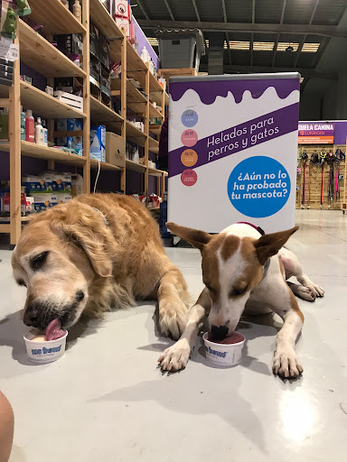 Lunacan (Tienda De Alimentación Para Mascotas Y Adiestrador Canino Profesional En San Jose De La Rinconada)
