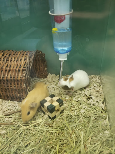 Pet Supply Store «Pet Supplies Plus», reviews and photos, 5315 Airport Hwy, Toledo, OH 43615, USA