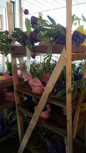 Supermarket «ALDI», reviews and photos, 424 E Pioneer Pkwy, Grand Prairie, TX 75051, USA