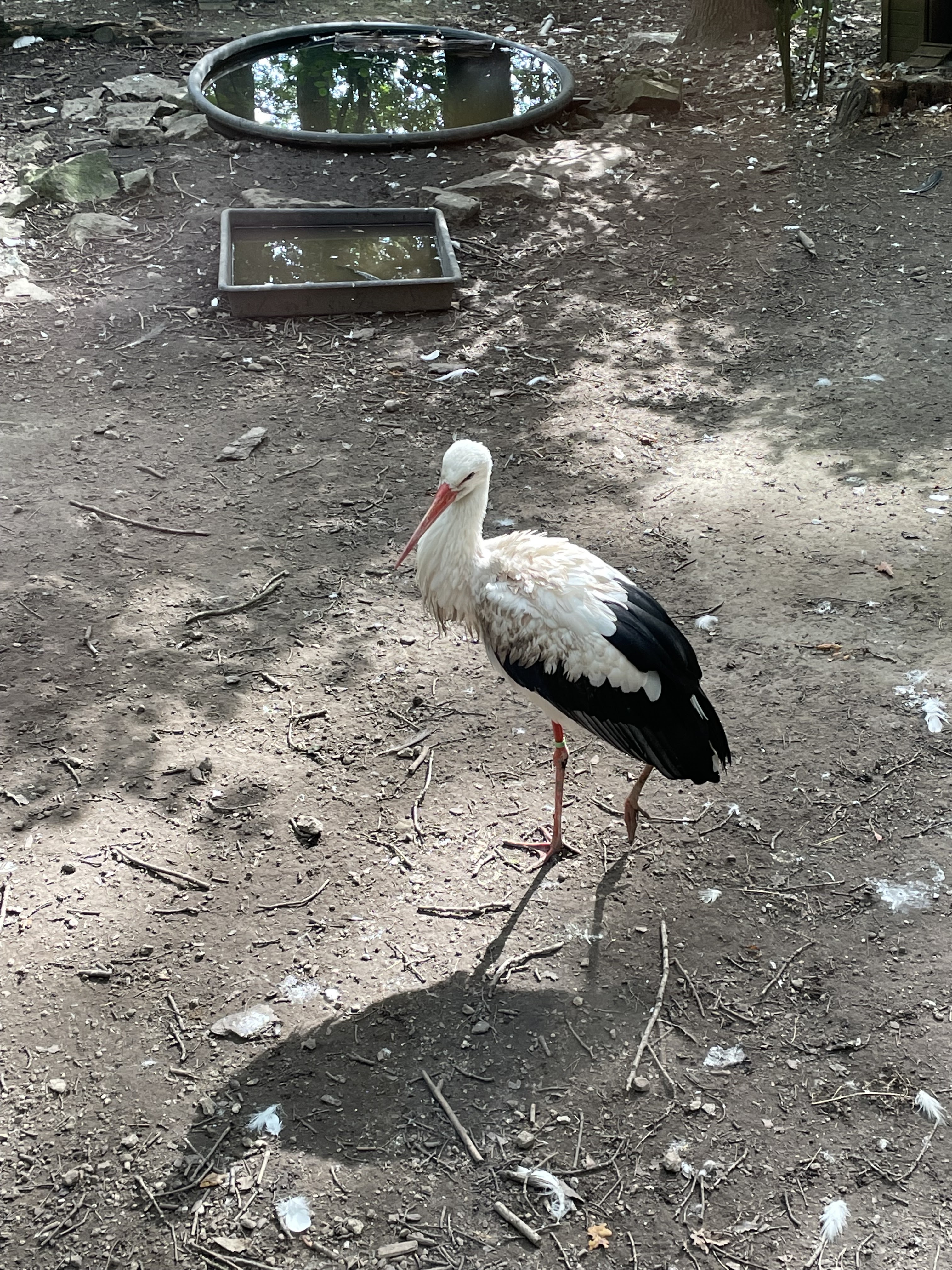 Photo n° 14 de l'avis de joel.u fait le 22/09/2021 à 14:33