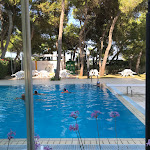 Photo n°14 de l'avis de Tom.� fait le 13/08/2017 à 06:01 sur le  Hotel Parco dei Principi à Giulianova