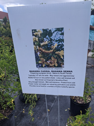 Plant Nursery «Wilcox Nursery», reviews and photos, 12501 Indian Rocks Rd, Largo, FL 33774, USA