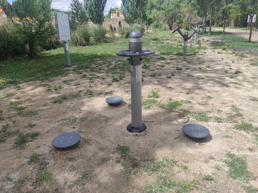 Calistenia en Alalpardo, Madrid