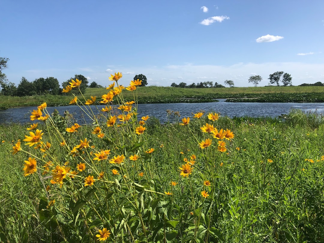 Pine Dunes Forest Preserve