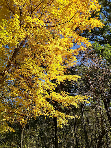 Nature Preserve «St. James Farm Forest Preserve», reviews and photos, 2S541 Winfield Rd, Warrenville, IL 60555, USA