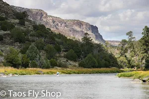 Taos Fly Shop image