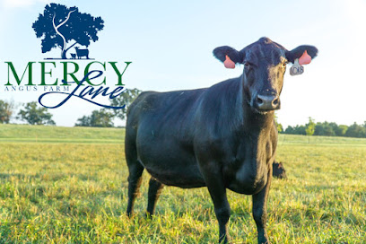 Mercy Lane Farms LLC