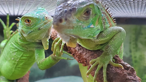 Pet Supply Store «Petco Animal Supplies», reviews and photos, 18578 Coastal Hwy #12, Rehoboth Beach, DE 19971, USA