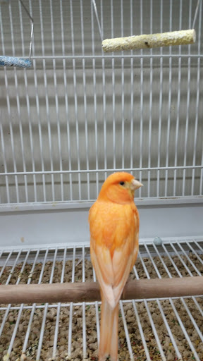 Pet Supply Store «Pet Supplies Plus», reviews and photos, 4332 Kent Rd, Stow, OH 44224, USA