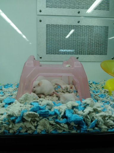 Pet Supply Store «Petco Animal Supplies», reviews and photos, 4139 US Hwy 98 N, Lakeland, FL 33809, USA