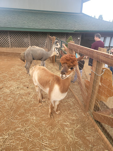 Apple Hill High Hill Ranch image