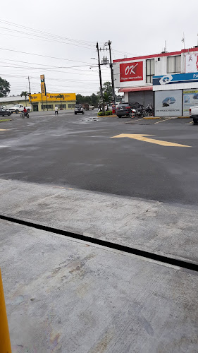 Gasolinera Terpel Anturios 2 - Santo Domingo de los Colorados