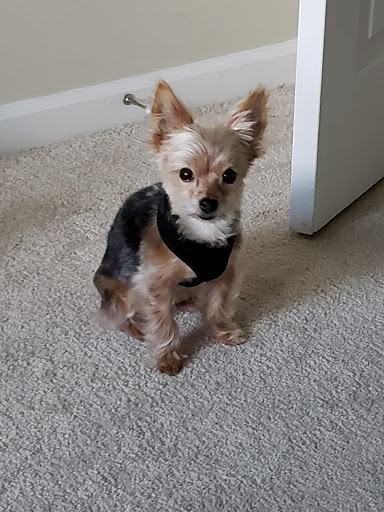 Pet Supply Store «EarthWise Pet», reviews and photos, 4880 Lower Roswell Rd #10, Marietta, GA 30068, USA