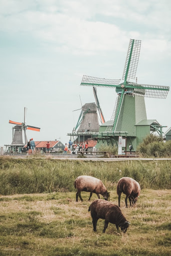 Travel Agency «Putman Travel», reviews and photos, 100 W Antrim Dr, Greenville, SC 29607, USA