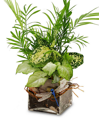 Florist «Flowers of Kingwood», reviews and photos, 1962 Northpark Dr, Kingwood, TX 77339, USA