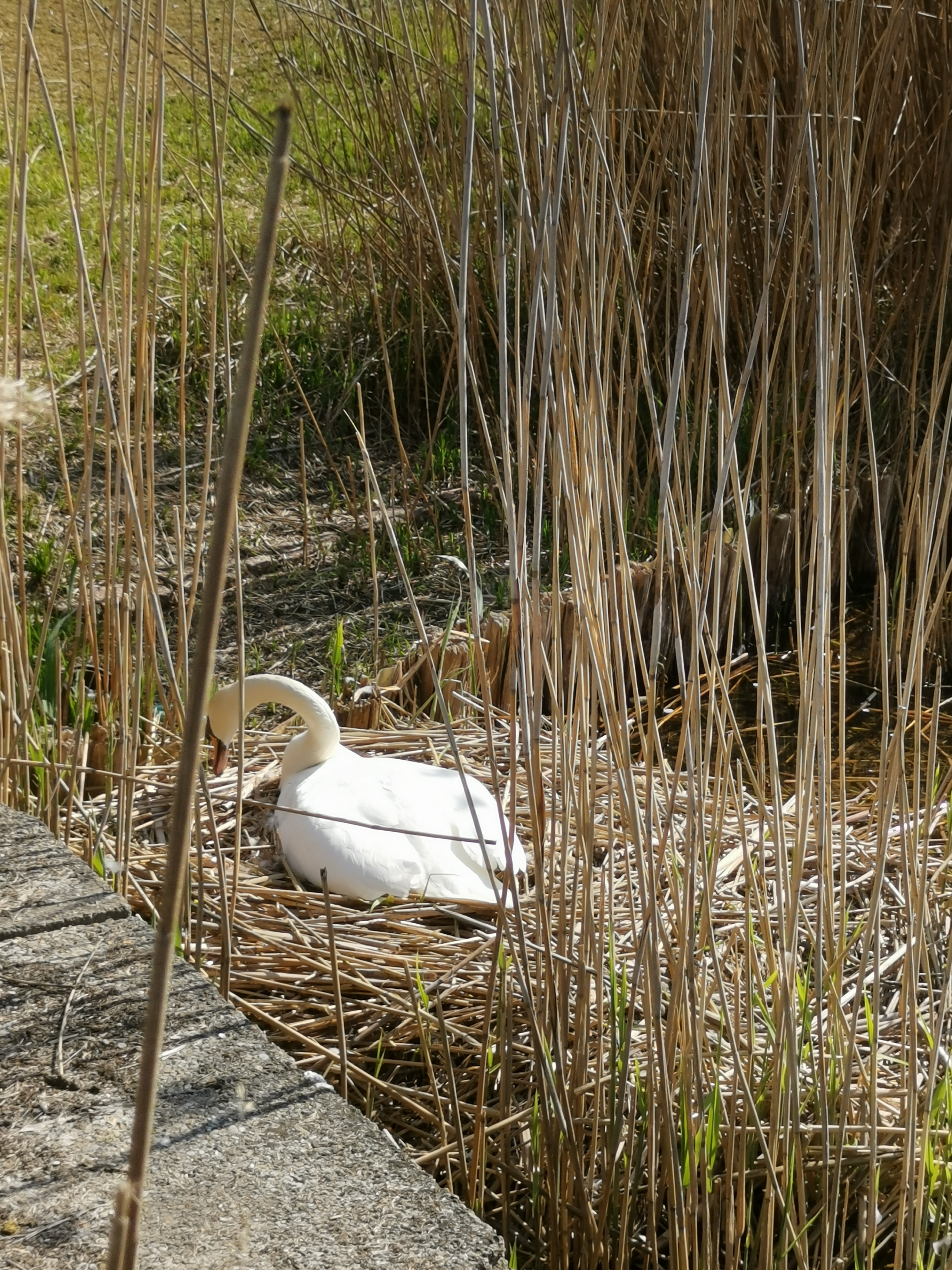Photo n° 2 de l'avis de Judicaël. fait le 04/05/2021 à 17:49