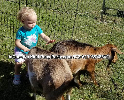 Zoo «A One of A Kind Pony Party», reviews and photos, 912 Bells Chapel Cir, Waxahachie, TX 75165, USA