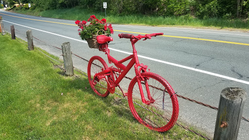 Garden Center «Riverside Nursery Garden Center & Florist», reviews and photos, 56 River Rd, Collinsville, CT 06019, USA