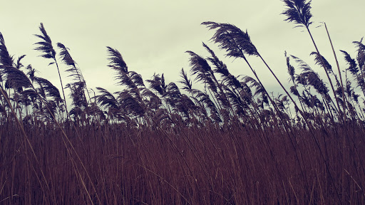 Golf Course «Meadow Golf Course-Peabody», reviews and photos, 80 Granite St, Peabody, MA 01960, USA