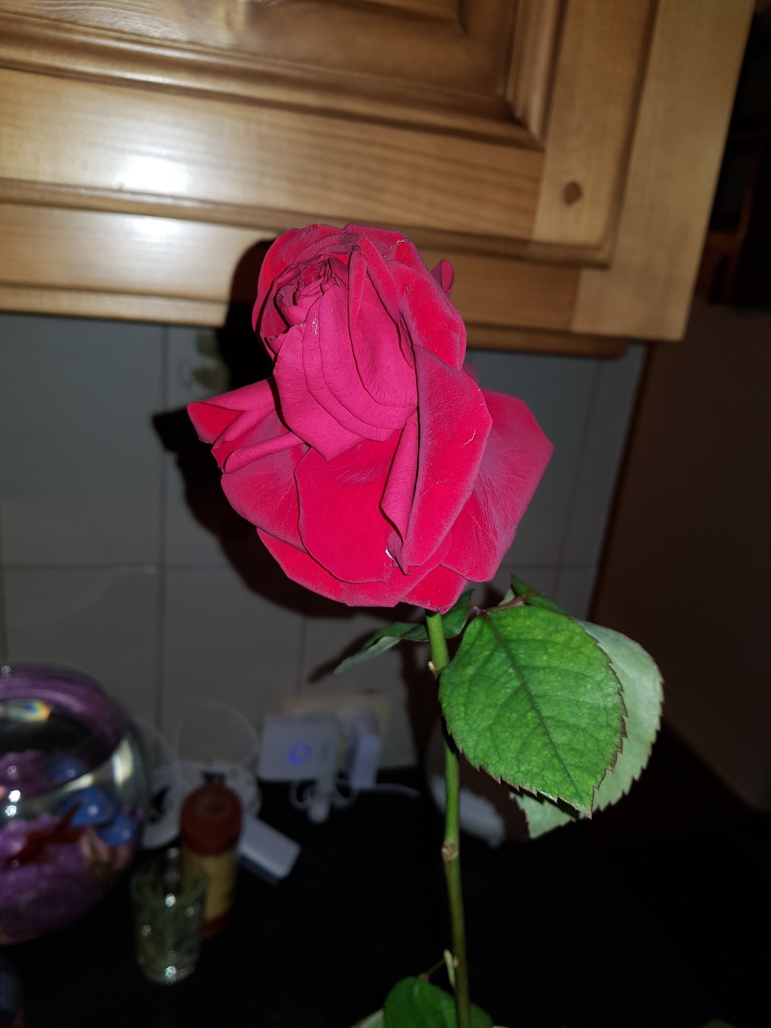 Photo n° 1 de l'avis de Anne.U fait le 15/02/2018 à 06:06